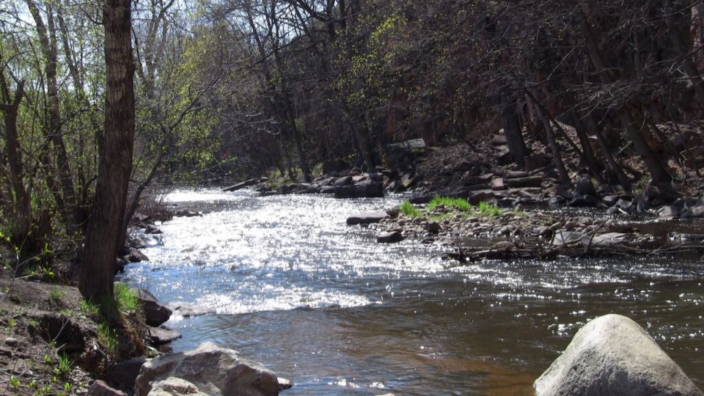 In this video, the speaker uses a river analogy to explain the choice between acceptance and resistance to life. He describes how everyone is on a journey towards increased consciousness, but individuals can choose to navigate the river with resistance or acceptance. Resisting life leads to suffering, while accepting it brings joy and peace. By floating down the river with curiosity, faith and trust, one can experience a more enjoyable and rewarding journey. The key message is that we have the power to choose how we approach life, either with resistance or acceptance, shaping our own experiences, outcomes and state of being. #MCJustbe #Acceptance #Resistance #riveranalogy #consciousness #awakening #selfawareness #healing #joy #innerpeace #manifestation #manifestingconsciousness