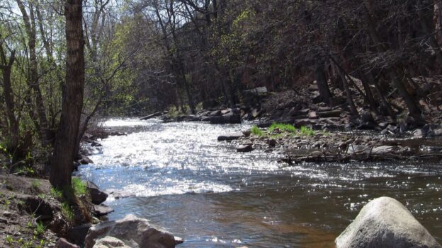 In this video, the speaker uses a river analogy to explain the choice between acceptance and resistance to life. He describes how everyone is on a journey towards increased consciousness, but individuals can choose to navigate the river with resistance or acceptance. Resisting life leads to suffering, while accepting it brings joy and peace. By floating down the river with curiosity, faith and trust, one can experience a more enjoyable and rewarding journey. The key message is that we have the power to choose how we approach life, either with resistance or acceptance, shaping our own experiences, outcomes and state of being. #MCJustbe #Acceptance #Resistance #riveranalogy #consciousness #awakening #selfawareness #healing #joy #innerpeace #manifestation #manifestingconsciousness